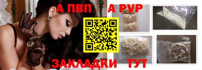 стаф Кинель