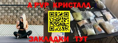 стаф Кинель