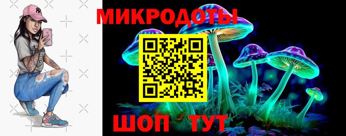 Псилоцибиновые грибы Psilocybine cubensis  Вход с VPN  Грязи 
