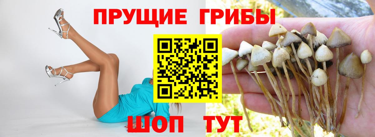 Псилоцибиновые грибы MAGIC MUSHROOMS Грязи
